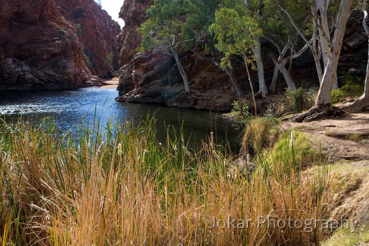 Larapinta_20080606_308 copy.jpg - Ellery Creek Big Hole